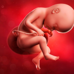 Dra. Thaline Neves orienta sobre os passos essenciais após o diagnóstico de malformação fetal durante a gestação.