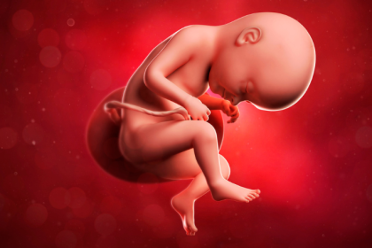 Dra. Thaline Neves orienta sobre os passos essenciais após o diagnóstico de malformação fetal durante a gestação.