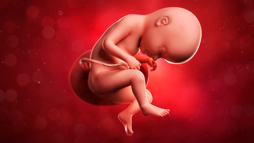 Dra. Thaline Neves orienta sobre os passos essenciais após o diagnóstico de malformação fetal durante a gestação.