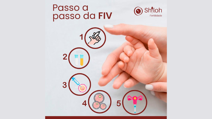 O futuro da reprodução assistida passa por técnicas menos invasivas, ressalta Oluwatosin Tolulope Ajidahun.