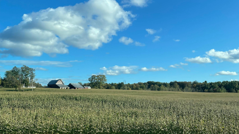 Parcerias, arrendamentos e fornecimento devem ser estruturados com clareza contratual, conforme orienta Hebron Costa Cruz de Oliveira.