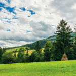 Os contratos no setor rural exigem atenção a pontos essenciais para reduzir conflitos, destaca Hebron Costa Cruz de Oliveira.