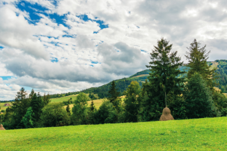 Os contratos no setor rural exigem atenção a pontos essenciais para reduzir conflitos, destaca Hebron Costa Cruz de Oliveira.
