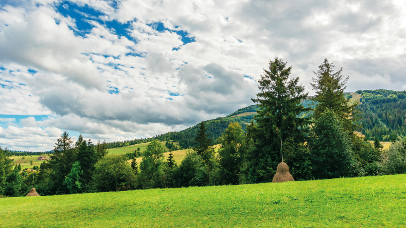 Os contratos no setor rural exigem atenção a pontos essenciais para reduzir conflitos, destaca Hebron Costa Cruz de Oliveira.